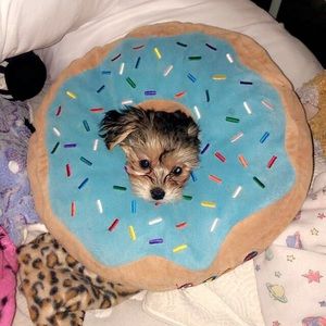 Meet your Posher, Jackie